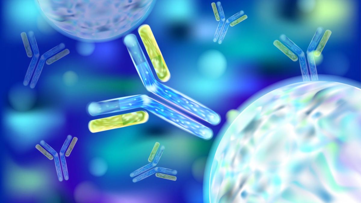 Karboksypeptydazy to enzymy proteolityczne, należące do grupy hydrolaz