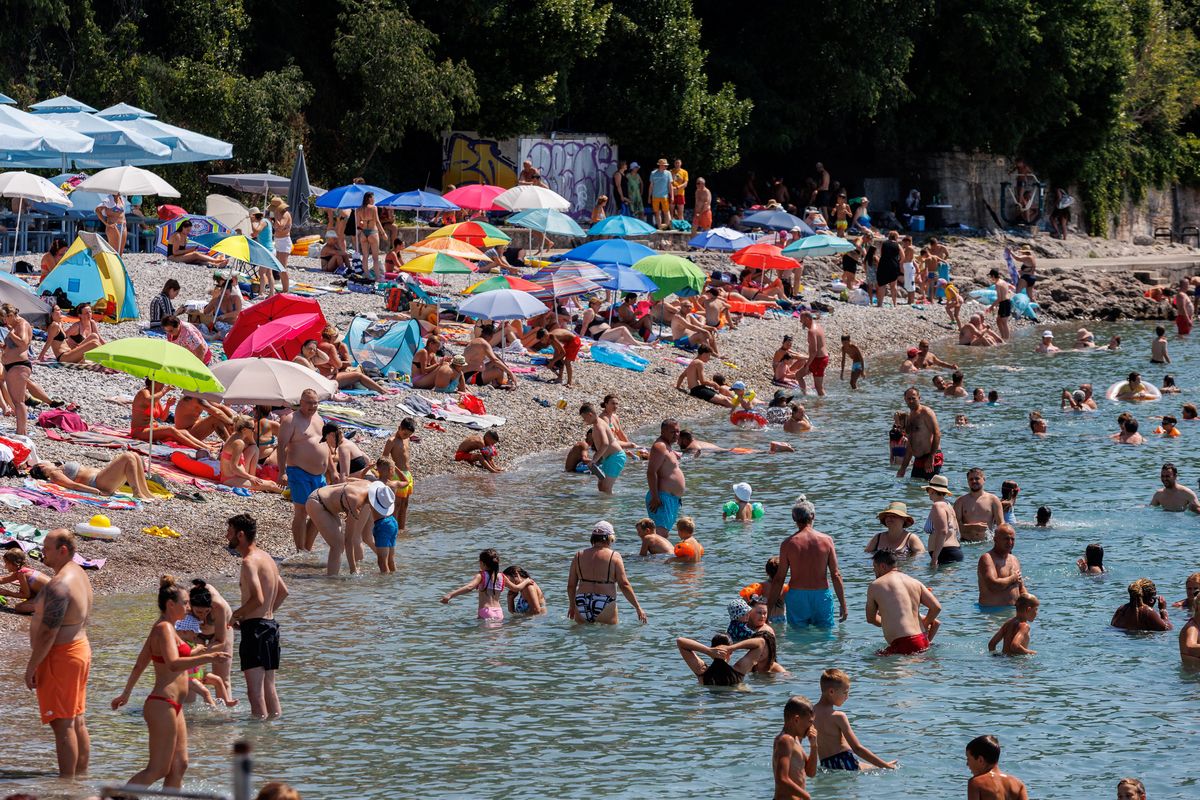Niebezpieczne meduzy straszą turystów w Chorwacji. "Wszyscy boją się kąpać" - zdjęcie ilustracyjne