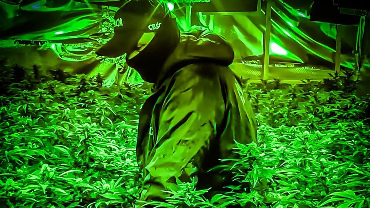 Policja zamieściła w mediach społecznościowych żartobliwy wpis