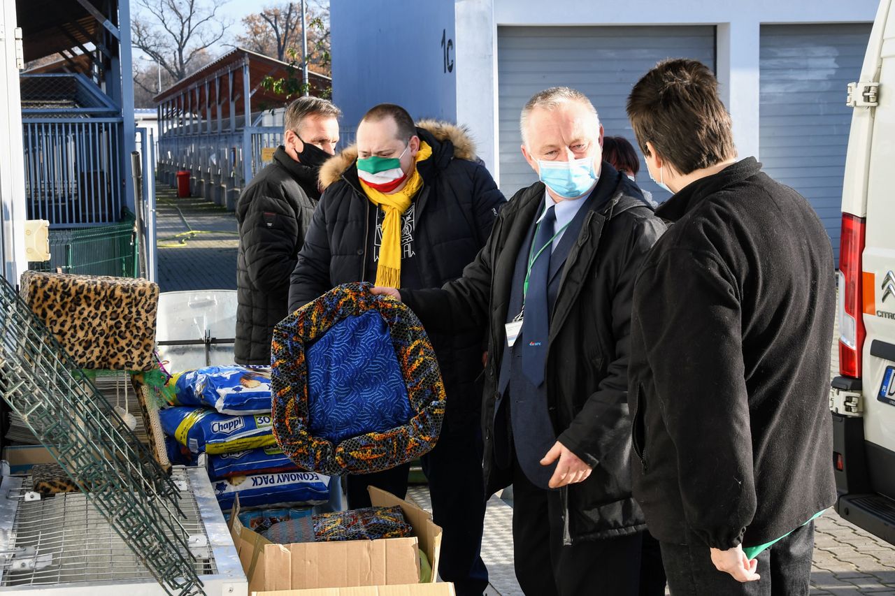 Wrocław. Autobusowa tapicerka dostała drugie życie. Zrobiono z niej legowiska dla zwierząt ze schroniska