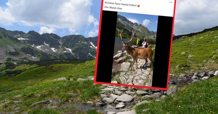 Pokazali wideo z Tatr. "Halo, nie można się kąpać w tatrzańskich jeziorach! Gdzie jest Straż Parku?"