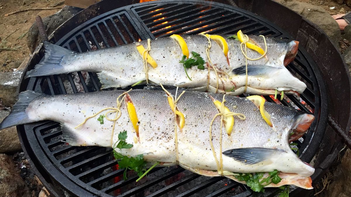 Hodowlany kiżucz poddany obróbce wysuszającej mięso