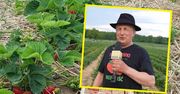 Pan Manfred zaprasza na samozbiory truskawek. Obowiązkowe zapisy