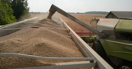 Dwa kolejne kraje pomogą Ukrainie. Przedstawiły swój zbożowy plan