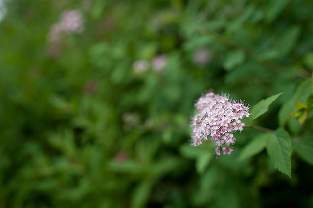 Nikkor AF-S 35 mm f/1.4 - świetne szkło na każdą okazję [test] 15