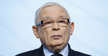 Kaczyński mówił o "zazdrosnym kocie". Naukowcy to sprawdzili