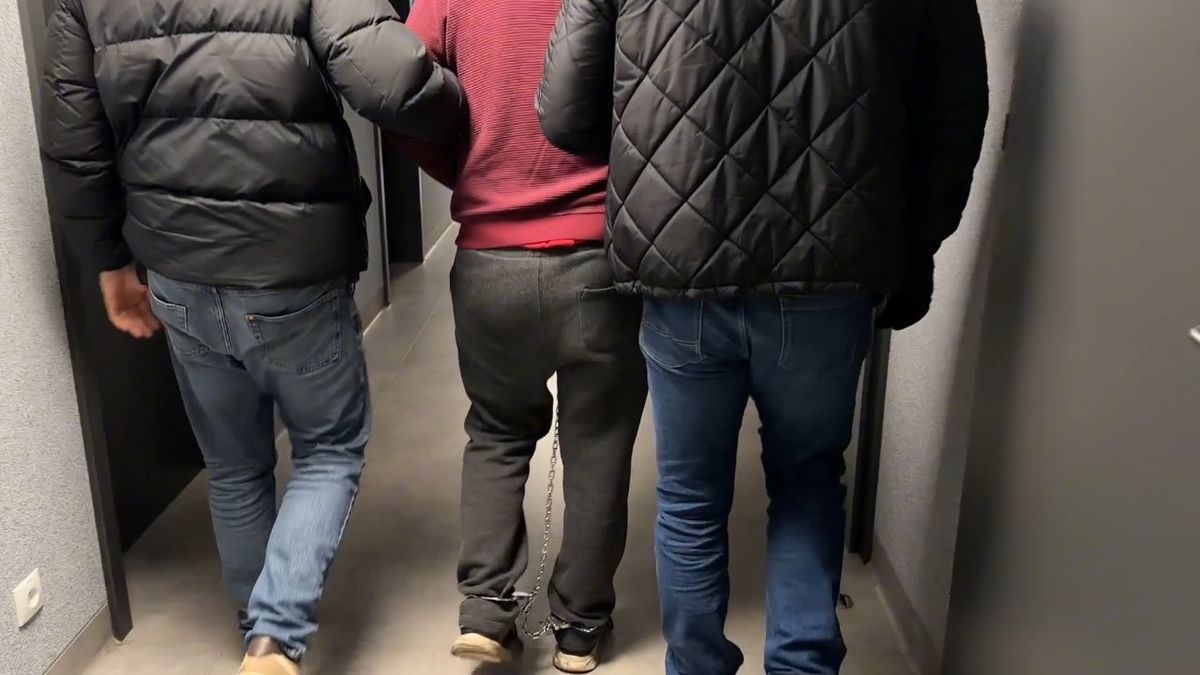 policja