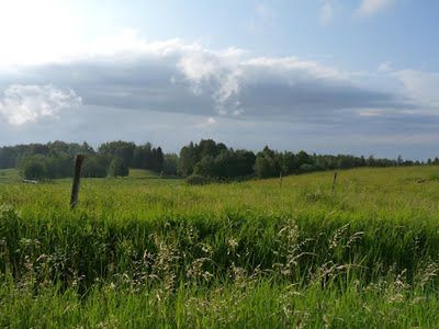 Pani Krysia z księgowości – odcinek 17: Nic… Nie działa nic…