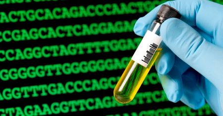 Dzięki pomysłowi z MIT biologiczne obwody będą równie złożone co obwody elektroniczne