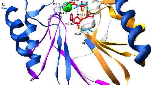 Enzymy - nowy sposób na druk? 1