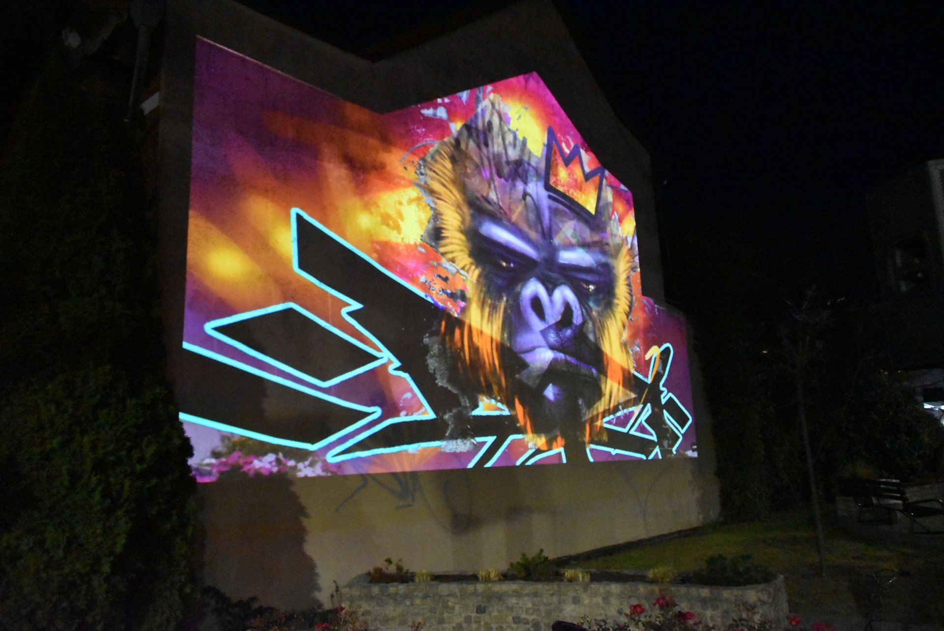 Propozycji było kilkanaście