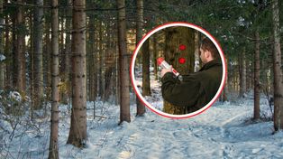 W szkółkach leśnych ruszyły przygotowania do sezonu sadzeniowego