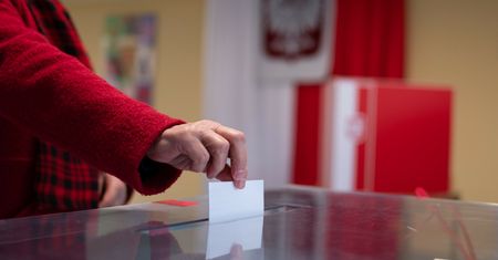 Program wyborczy Wirtualnej Polski