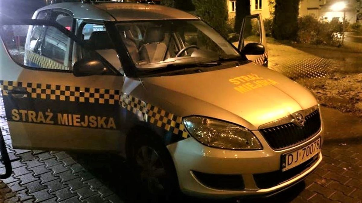 Wrocławianie skarżą się na strażników miejskich. Zdj. ilustracyjne 