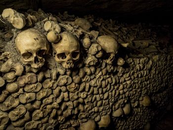 To mogło zakończyć historię kanibalizmu. Jest nowe wyjaśnienie