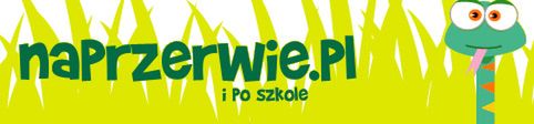 10 polskich stron z gierkami flash 9