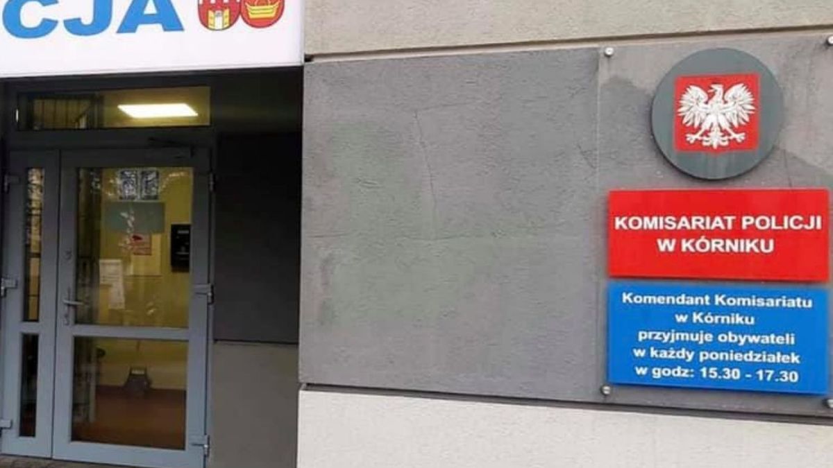 policja