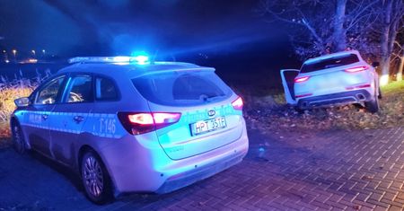 Pijany jechał pod prąd i uderzył w drzewo. Nieoficjalnie - to syn prezydenta Olsztyna