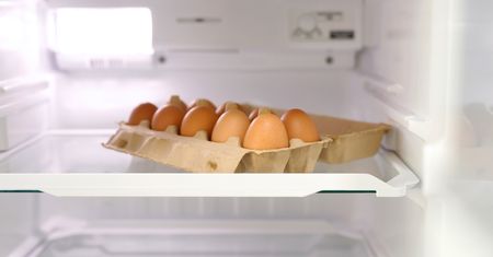 W lodówce jest tylko jedna właściwa półka na jajka. Nie znajduje się na drzwiach