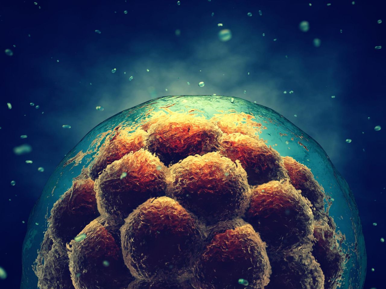 7 tajemnic żeńskiej komórki jajowej, które cię zaskoczą