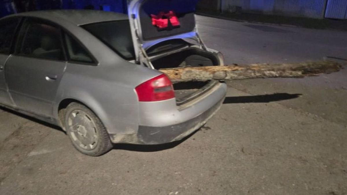 Wypad na grzyby może mieć dla kierowcy przykre konsekwencje