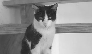 "Rurek" nie żyje. O tej akcji słyszał niemal cały kraj