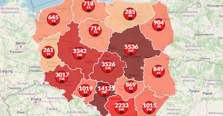 Koronawirus w Polsce. 333 nowe przypadki zakażeń. Już ponad 1 600 zgonów [Aktualna mapa]