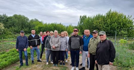 Ptaszków: Mieszkańcy mają opuścić działki rekreacyjne. To koniec ich zielonego azylu?