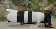Sony FE 70–200 mm f/2.8 GM OSS - zdjęcia przykładowe z ZOO w Berlinie