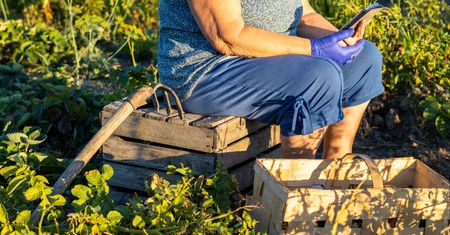 Tu płacą 10 tys. zł. Wieś szuka pracowników sezonowych