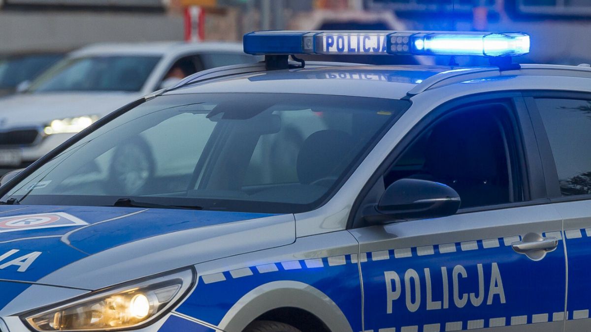 policja