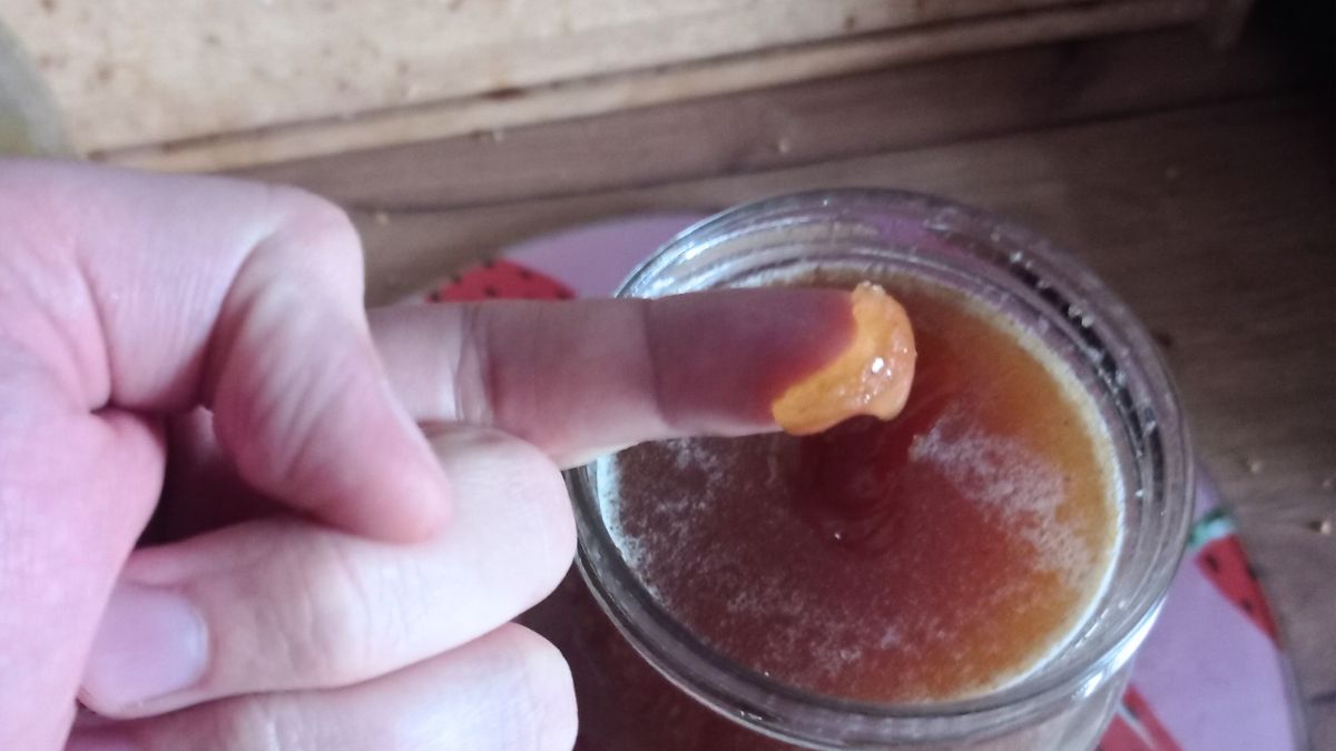 Jak sprawdzić czy miód jest prawdziwy?