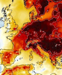 Pogoda zwariowała. Totalne uderzenie ciepła. Nawet 20 stopni