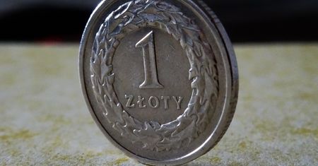 FFiL Śnieżka rekomenduje 2,6 zł dywidendy na akcję z zysku za 2019 r.