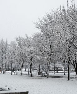 IMGW ostrzega przed śnieżycą. Nawet 15 cm śniegu