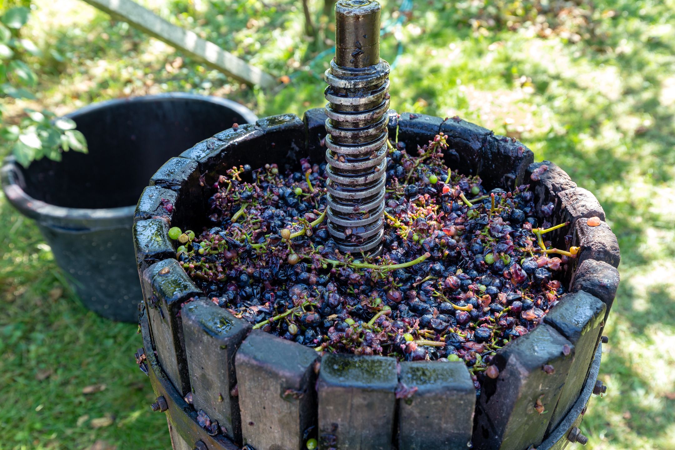 Wino