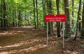 Diabli Skok. Dziki zakątek, który wygląda jak kawałek gór przeniesiony do Wielkopolski