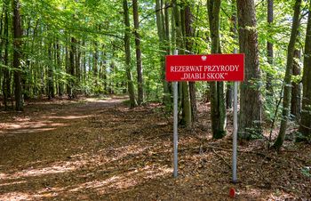 Diabli Skok. Dziki zakątek, który wygląda jak kawałek gór przeniesiony do Wielkopolski
