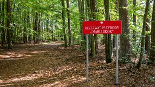 Diabli Skok. Dziki zakątek, który wygląda jak kawałek gór przeniesiony do Wielkopolski