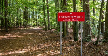 Diabli Skok. Dziki zakątek, który wygląda jak kawałek gór przeniesiony do Wielkopolski