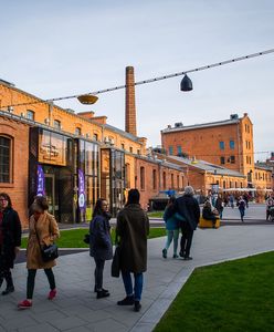 Wielkanocna gra w Koneserze. „Drużyna Zajączka” pomysłem na rodzinną zabawę