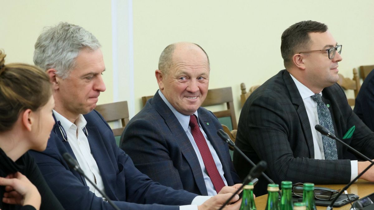 Ludowcy uważają, że Polska nie spełnia kryteriów wejścia do strefy euro 