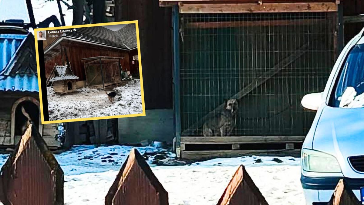 Psy były trzymane na mrozie. Sprawą zajęła się policja 