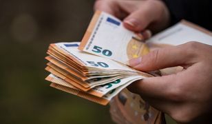 Ile zarabia się w Niemczech? W tej branży płacą 37 tys. zł miesięcznie