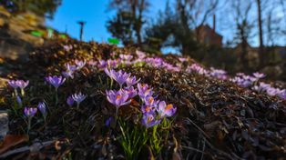 15 stopni na zachodzie, mróz w górach. Sprawdź, gdzie we wtorek przyda się parasol