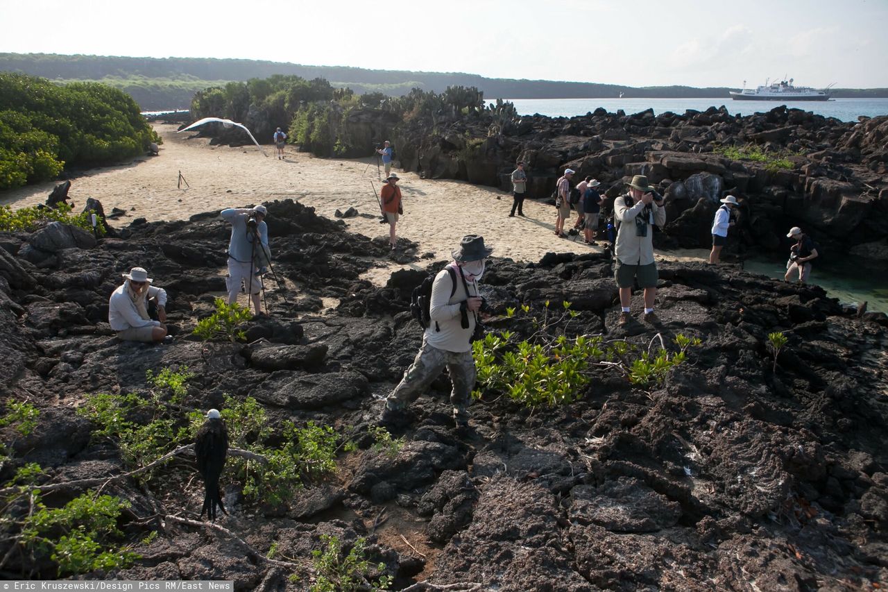 Galapagos