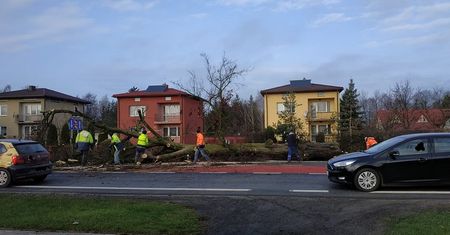 Utrudnienia drogowe na DK19 Lublin – Kraśnik. Trwa wycinka drzew