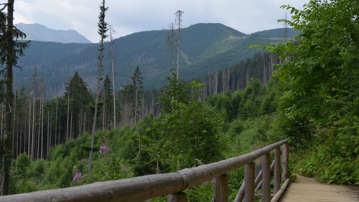 Najrzadziej odwiedzana dolina w Tatrach - Olczyska