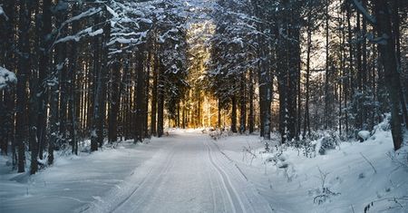 Zimowy poradnik dla kierowców i pieszych