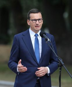 Premier pytany o raport Macierewicza. Rzecznik rządu odpowiada: TVN woli rosyjski raport